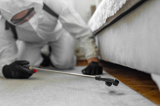 Professional Termite Control technician working in Telford, TN
