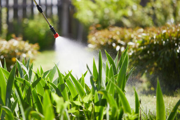 24/7 Emergency Termite Control experts in Telford, TN